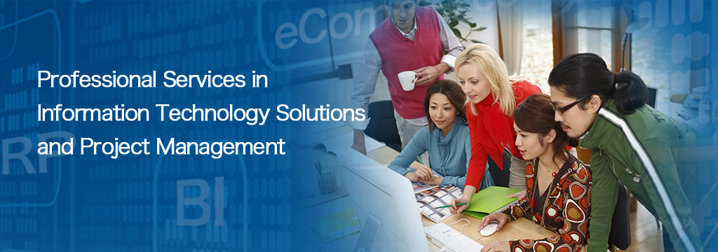 Professional Services in Information Technology Solutions and Project Management